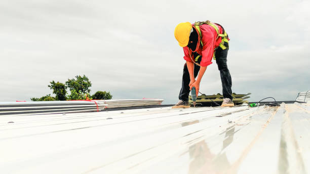 Best Slate Roofing  in Mckenzie, TN