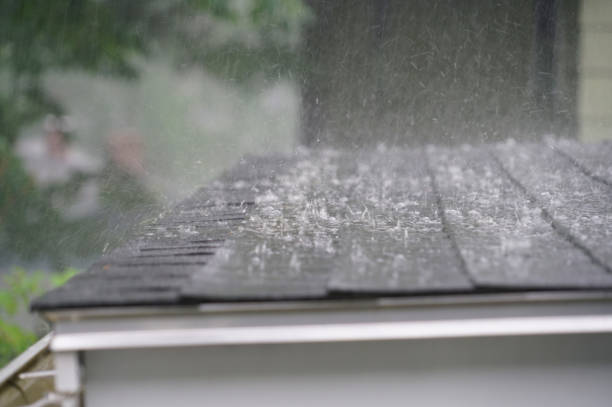 Best Emergency Roof Repair Services  in Mckenzie, TN